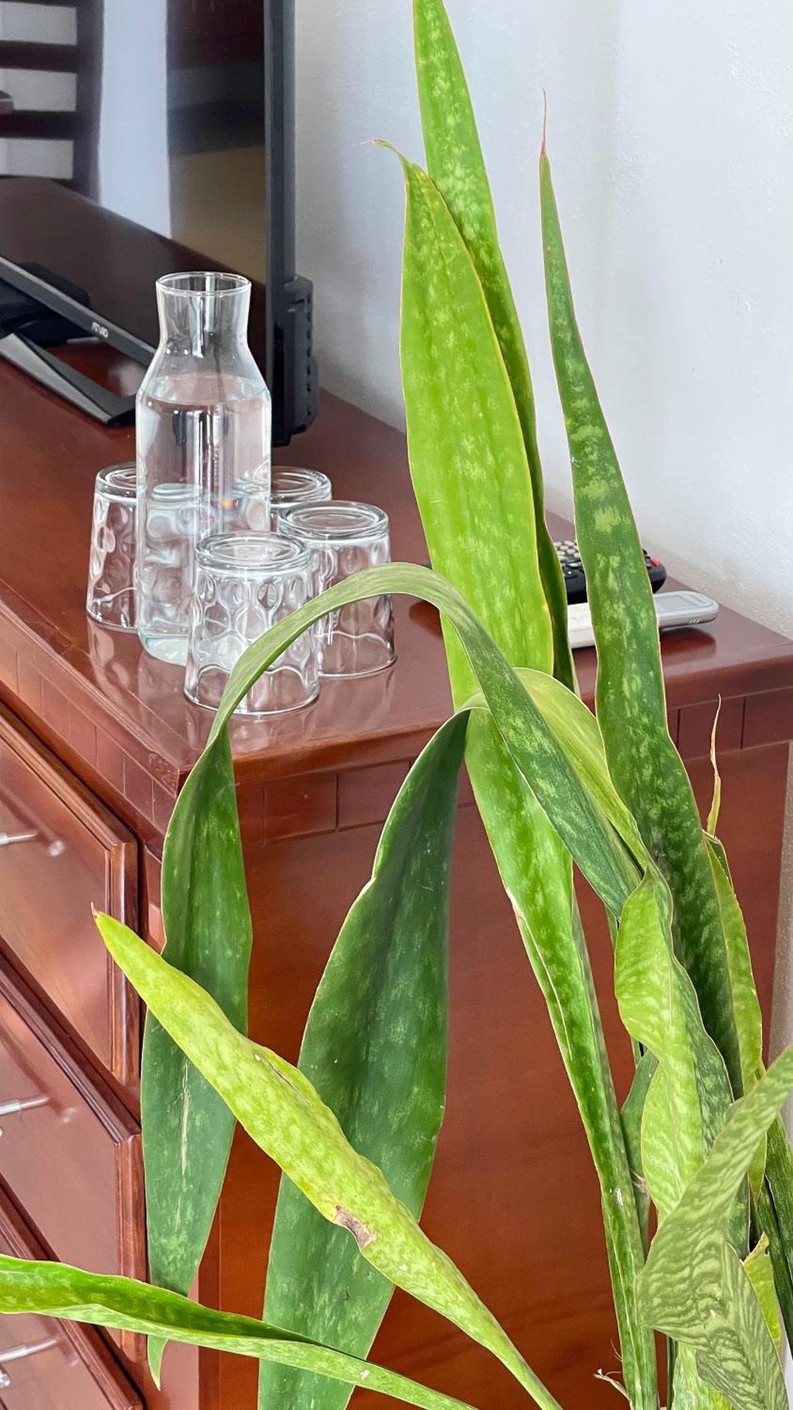 Quinta Alberto Boutique Hotel ซาน บลาส ห้อง รูปภาพ