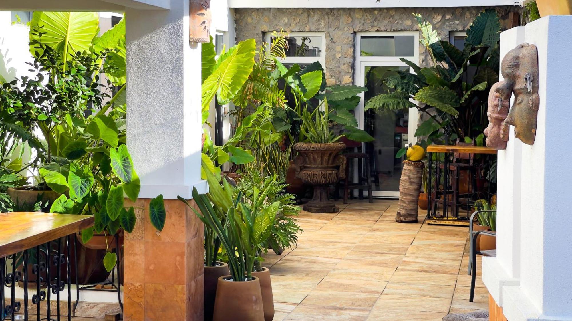Quinta Alberto Boutique Hotel ซาน บลาส ภายนอก รูปภาพ